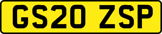 GS20ZSP
