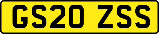 GS20ZSS