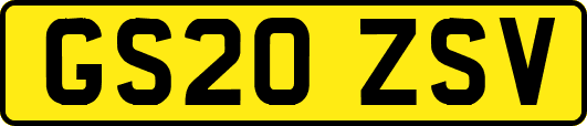 GS20ZSV