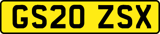 GS20ZSX