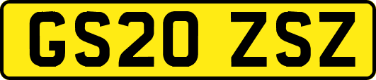 GS20ZSZ
