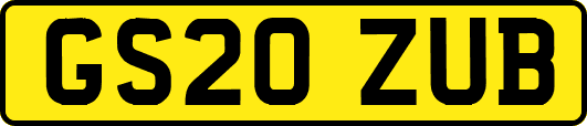 GS20ZUB