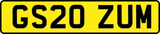GS20ZUM