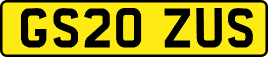 GS20ZUS