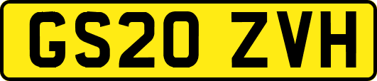 GS20ZVH