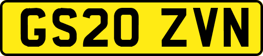 GS20ZVN