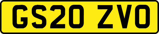GS20ZVO