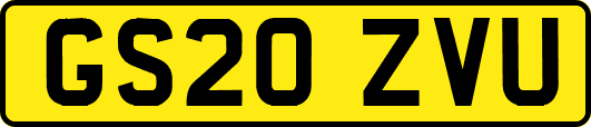 GS20ZVU