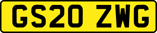 GS20ZWG