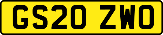GS20ZWO