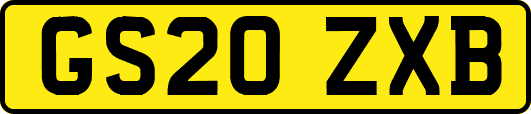 GS20ZXB