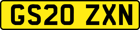 GS20ZXN