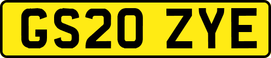 GS20ZYE