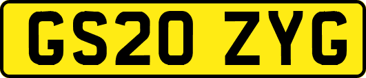 GS20ZYG