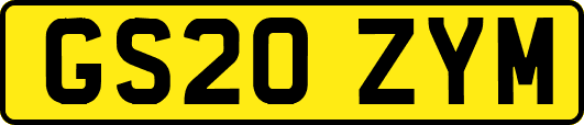 GS20ZYM