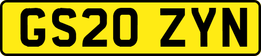 GS20ZYN