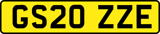 GS20ZZE