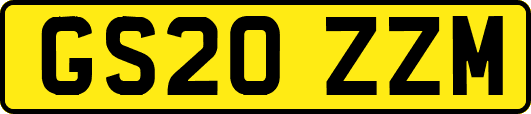 GS20ZZM