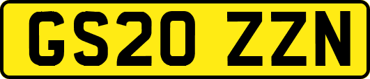 GS20ZZN