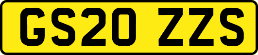 GS20ZZS