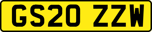 GS20ZZW