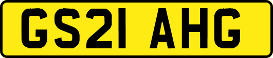 GS21AHG