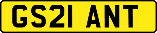 GS21ANT