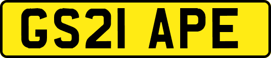 GS21APE