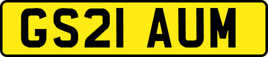 GS21AUM