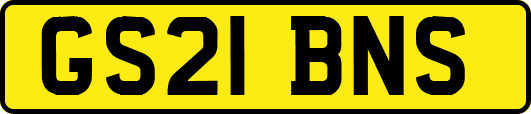 GS21BNS