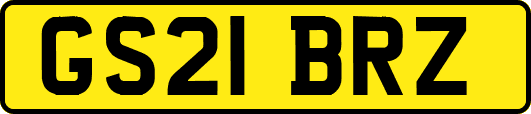 GS21BRZ