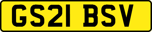 GS21BSV