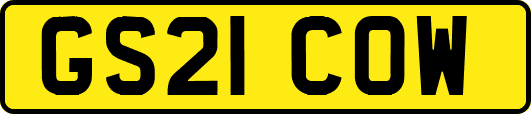 GS21COW