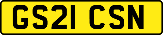 GS21CSN