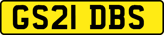 GS21DBS