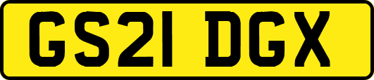GS21DGX