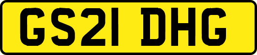 GS21DHG