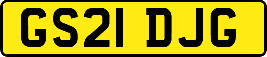 GS21DJG