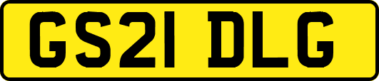 GS21DLG