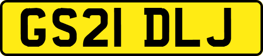 GS21DLJ