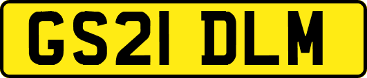 GS21DLM