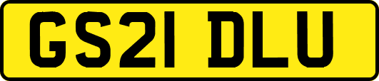 GS21DLU