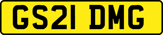 GS21DMG