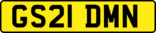 GS21DMN