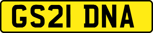 GS21DNA