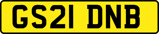 GS21DNB