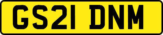 GS21DNM
