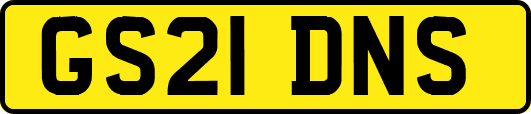 GS21DNS