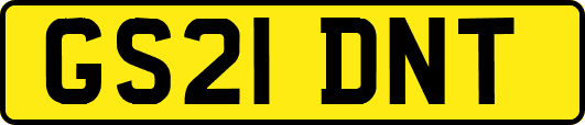 GS21DNT