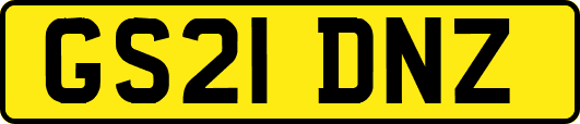 GS21DNZ